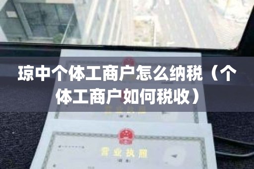 琼中个体工商户怎么纳税（个体工商户如何税收）