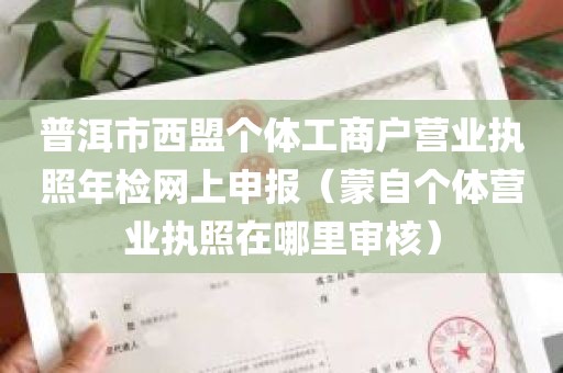 普洱市西盟个体工商户营业执照年检网上申报（蒙自个体营业执照在哪里审核）