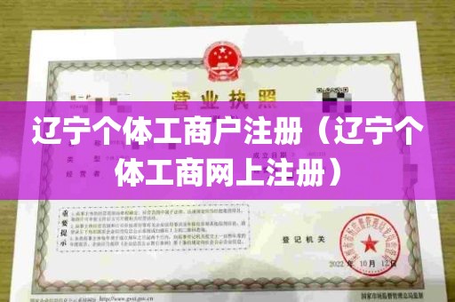 辽宁个体工商户注册（辽宁个体工商网上注册）