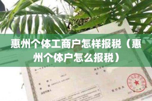 惠州个体工商户怎样报税（惠州个体户怎么报税）