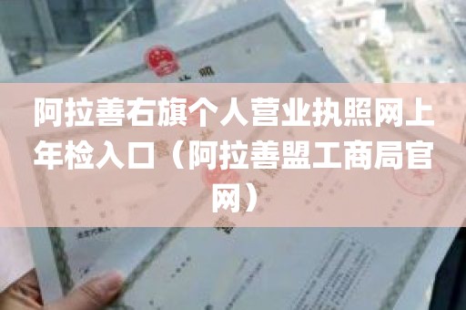 阿拉善右旗个人营业执照网上年检入口（阿拉善盟工商局官网）