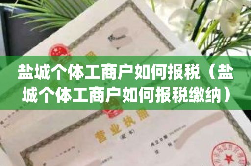 盐城个体工商户如何报税（盐城个体工商户如何报税缴纳）