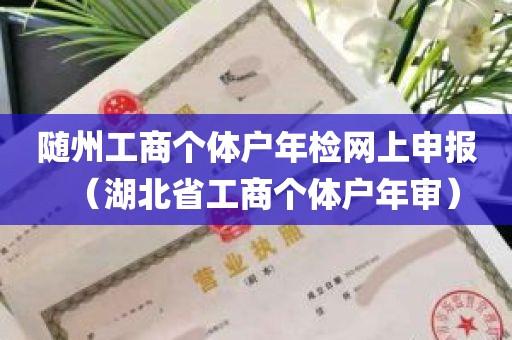 随州工商个体户年检网上申报（湖北省工商个体户年审）