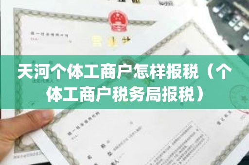 天河个体工商户怎样报税（个体工商户税务局报税）