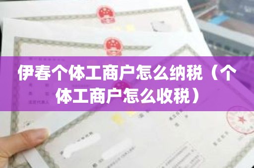 伊春个体工商户怎么纳税（个体工商户怎么收税）