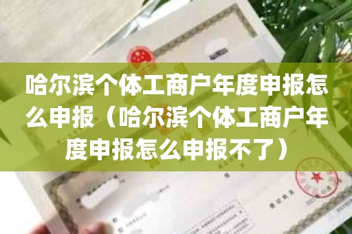 哈尔滨个体工商户年度申报怎么申报（哈尔滨个体工商户年度申报怎么申报不了）