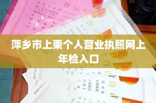 萍乡市上栗个人营业执照网上年检入口