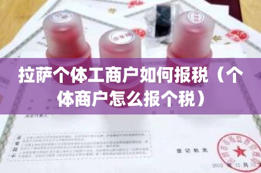 拉萨个体工商户如何报税（个体商户怎么报个税）