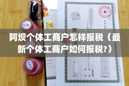 阿坝个体工商户怎样报税（最新个体工商户如何报税?）