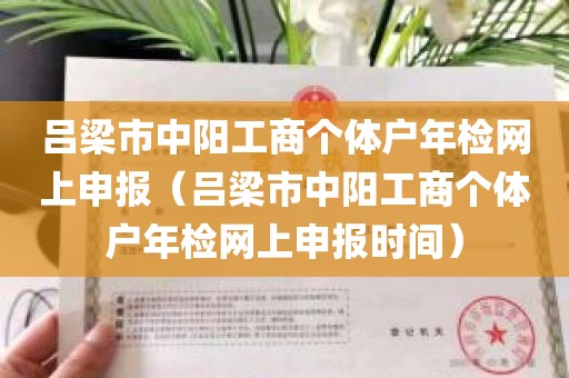 吕梁市中阳工商个体户年检网上申报（吕梁市中阳工商个体户年检网上申报时间）