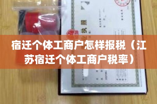 宿迁个体工商户怎样报税（江苏宿迁个体工商户税率）