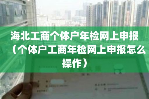 海北工商个体户年检网上申报（个体户工商年检网上申报怎么操作）