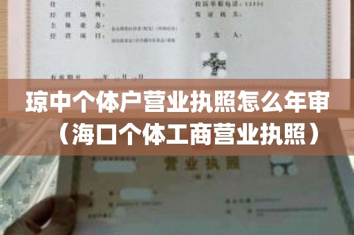 琼中个体户营业执照怎么年审（海口个体工商营业执照）