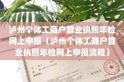 泸州个体工商户营业执照年检网上申报（泸州个体工商户营业执照年检网上申报流程）