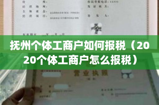 抚州个体工商户如何报税（2020个体工商户怎么报税）