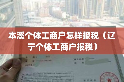 本溪个体工商户怎样报税（辽宁个体工商户报税）