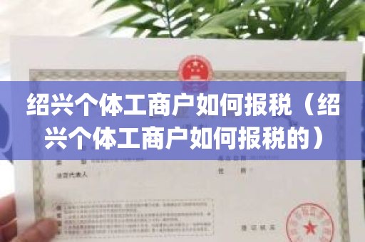 绍兴个体工商户如何报税（绍兴个体工商户如何报税的）