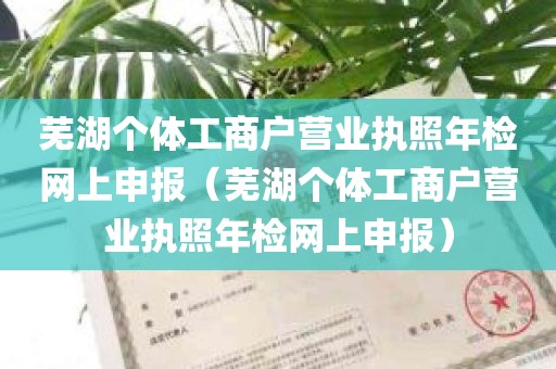 芜湖个体工商户营业执照年检网上申报（芜湖个体工商户营业执照年检网上申报）