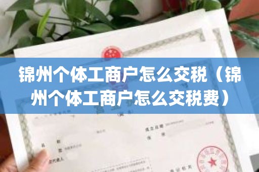 锦州个体工商户怎么交税（锦州个体工商户怎么交税费）