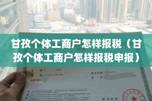 甘孜个体工商户怎样报税（甘孜个体工商户怎样报税申报）