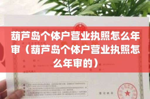 葫芦岛个体户营业执照怎么年审（葫芦岛个体户营业执照怎么年审的）