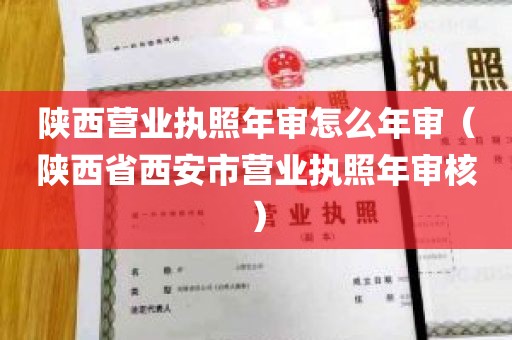 陕西营业执照年审怎么年审（陕西省西安市营业执照年审核）