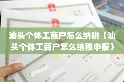 汕头个体工商户怎么纳税（汕头个体工商户怎么纳税申报）