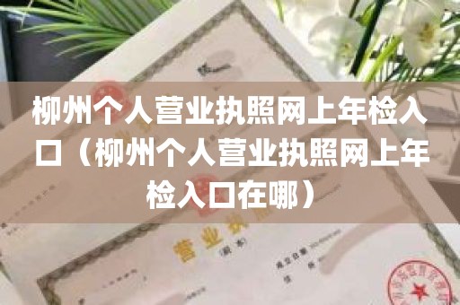 柳州个人营业执照网上年检入口（柳州个人营业执照网上年检入口在哪）