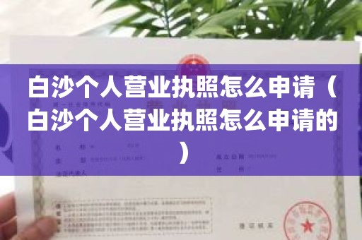 白沙个人营业执照怎么申请（白沙个人营业执照怎么申请的）