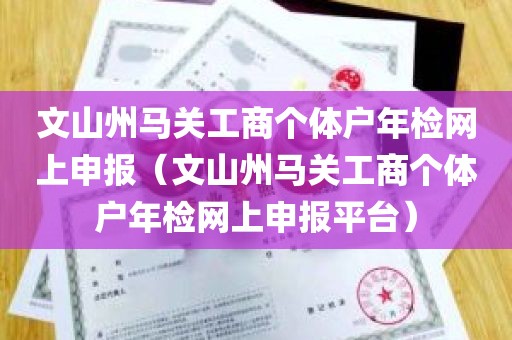 文山州马关工商个体户年检网上申报（文山州马关工商个体户年检网上申报平台）