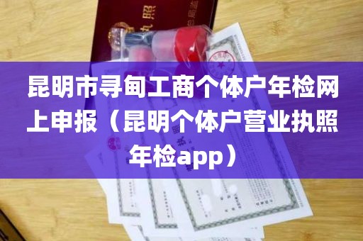 昆明市寻甸工商个体户年检网上申报（昆明个体户营业执照年检app）