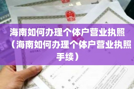 海南如何办理个体户营业执照（海南如何办理个体户营业执照手续）