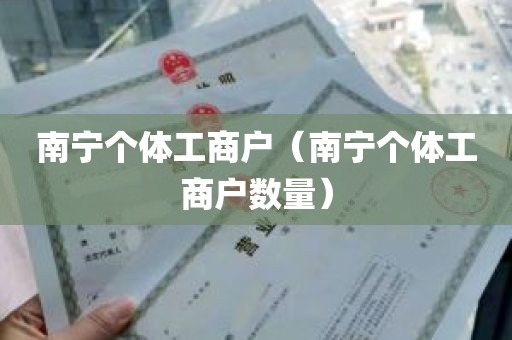 南宁个体工商户（南宁个体工商户数量）