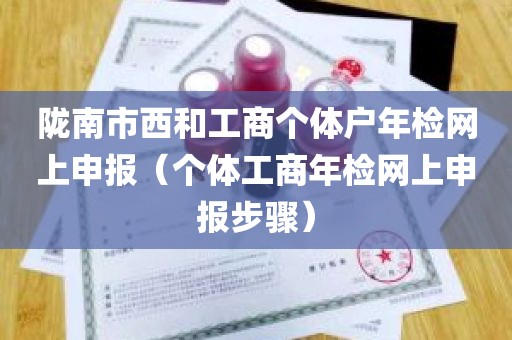 陇南市西和工商个体户年检网上申报（个体工商年检网上申报步骤）