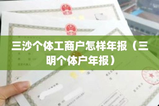 三沙个体工商户怎样年报（三明个体户年报）