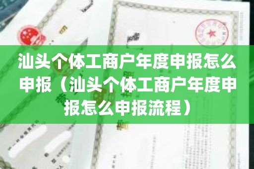 汕头个体工商户年度申报怎么申报（汕头个体工商户年度申报怎么申报流程）