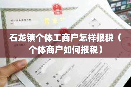 石龙镇个体工商户怎样报税（个体商户如何报税）