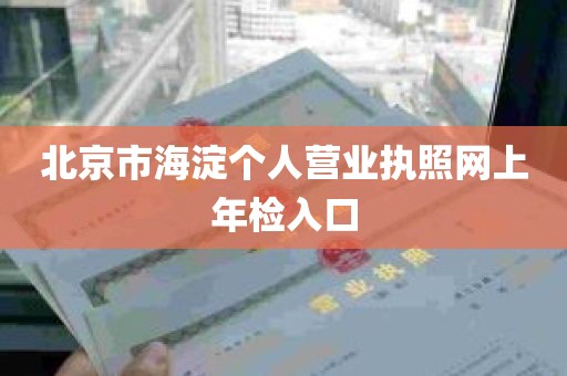 北京市海淀个人营业执照网上年检入口