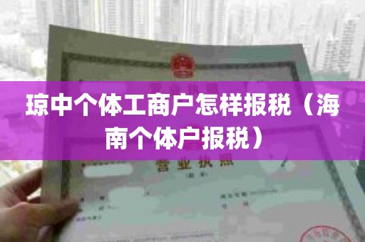 琼中个体工商户怎样报税（海南个体户报税）