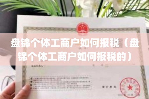 盘锦个体工商户如何报税（盘锦个体工商户如何报税的）