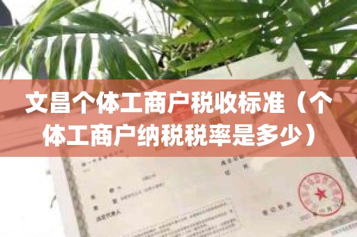 文昌个体工商户税收标准（个体工商户纳税税率是多少）