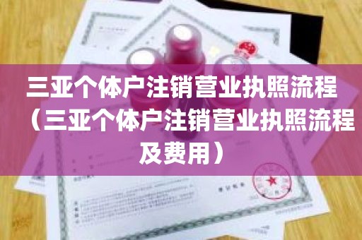 三亚个体户注销营业执照流程（三亚个体户注销营业执照流程及费用）