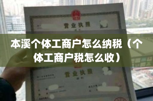 本溪个体工商户怎么纳税（个体工商户税怎么收）