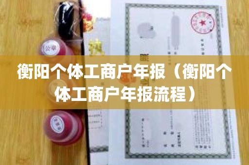 衡阳个体工商户年报（衡阳个体工商户年报流程）