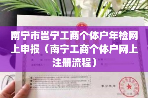 南宁市邕宁工商个体户年检网上申报（南宁工商个体户网上注册流程）