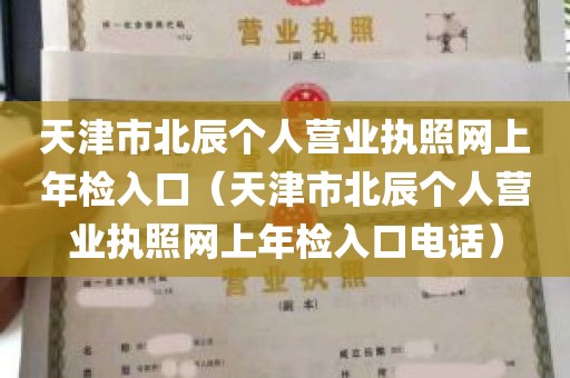 天津市北辰个人营业执照网上年检入口（天津市北辰个人营业执照网上年检入口电话）