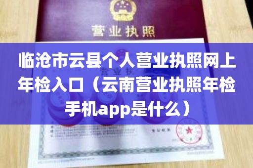 临沧市云县个人营业执照网上年检入口（云南营业执照年检手机app是什么）