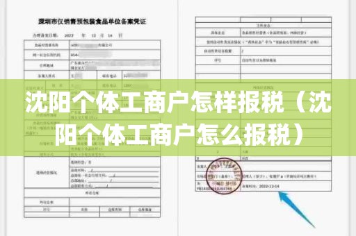 沈阳个体工商户怎样报税（沈阳个体工商户怎么报税）