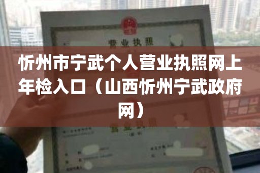 忻州市宁武个人营业执照网上年检入口（山西忻州宁武政府网）