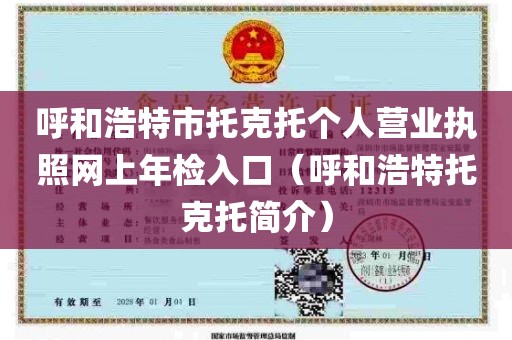 呼和浩特市托克托个人营业执照网上年检入口（呼和浩特托克托简介）